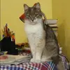 Отзыв от Галя Спиридонова